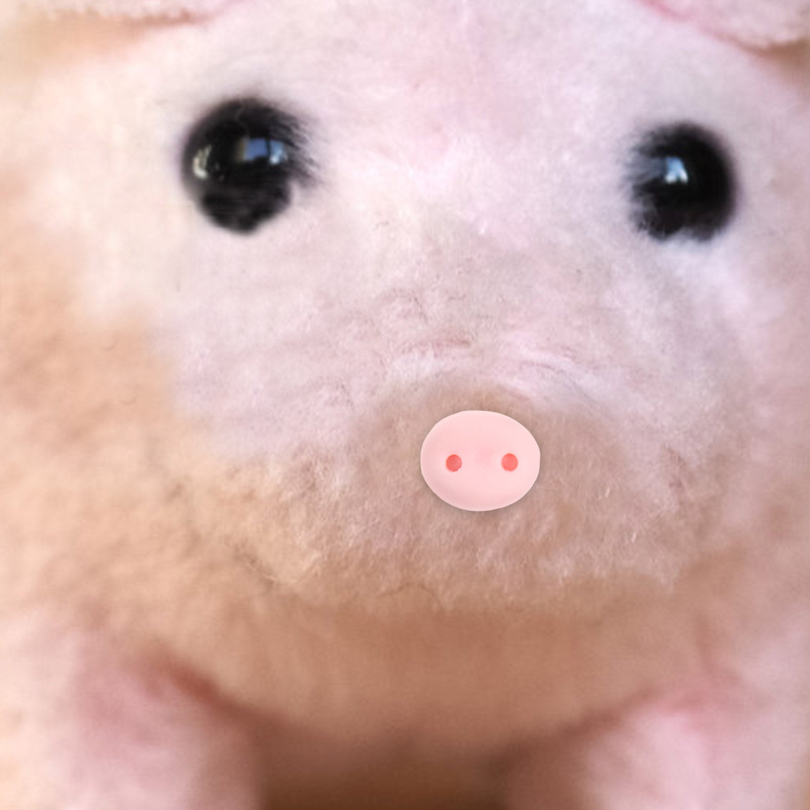 100Pcs Resin Pig Noses Craft E - Embellishment Glue Craft 评论和价格