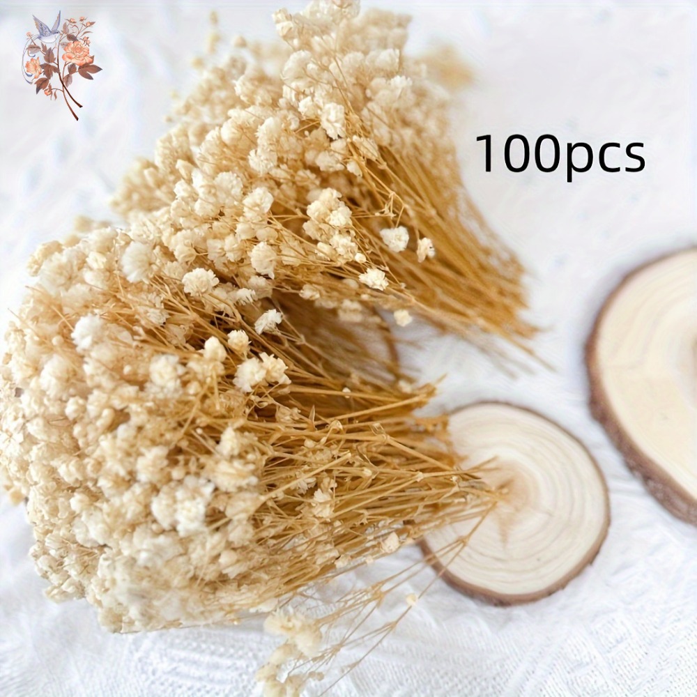 100pcs Mini Dried Baby's Breat - Embellish Craft 评论和价格