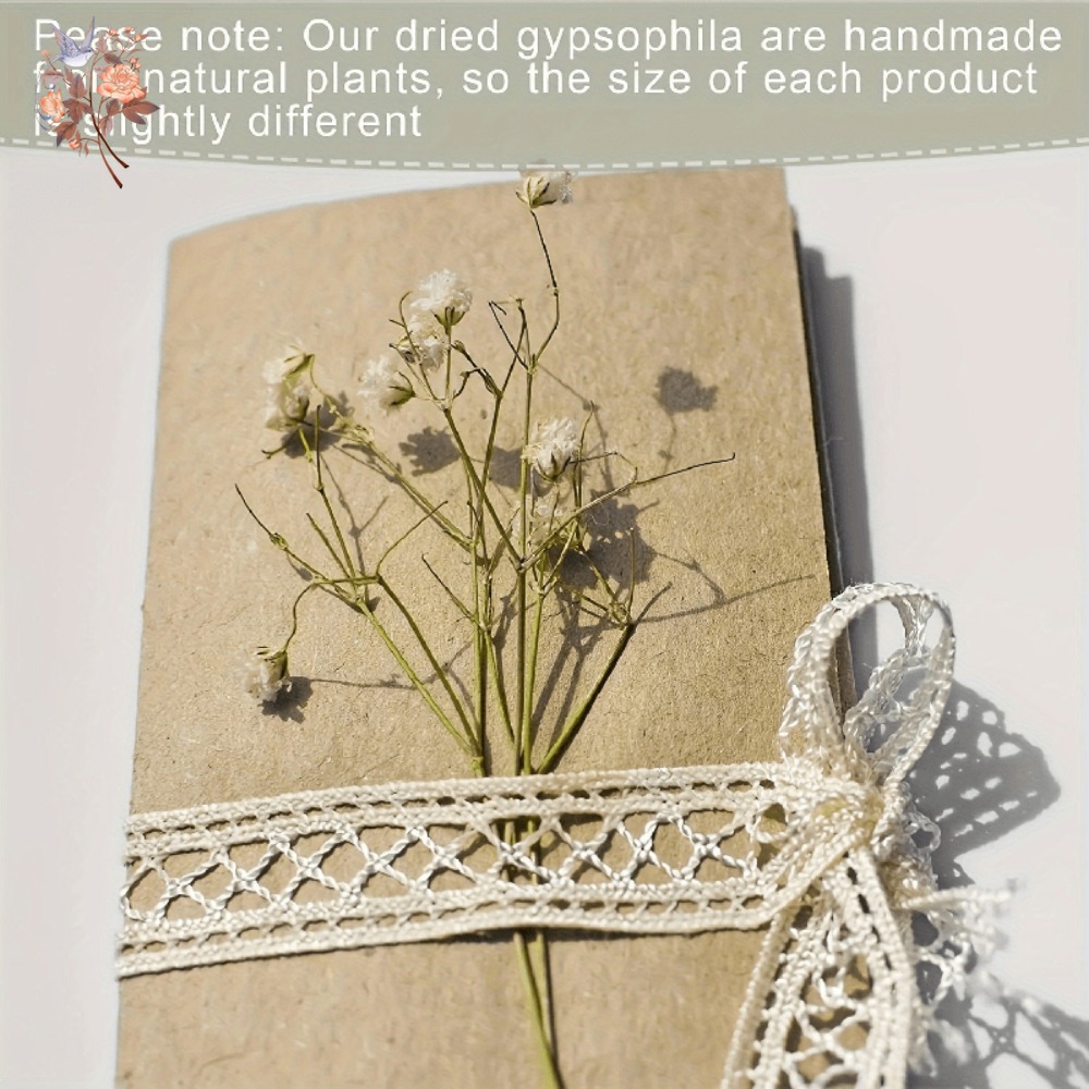 100pcs Mini Dried Baby's Breat - Embellish Craft 评论和价格